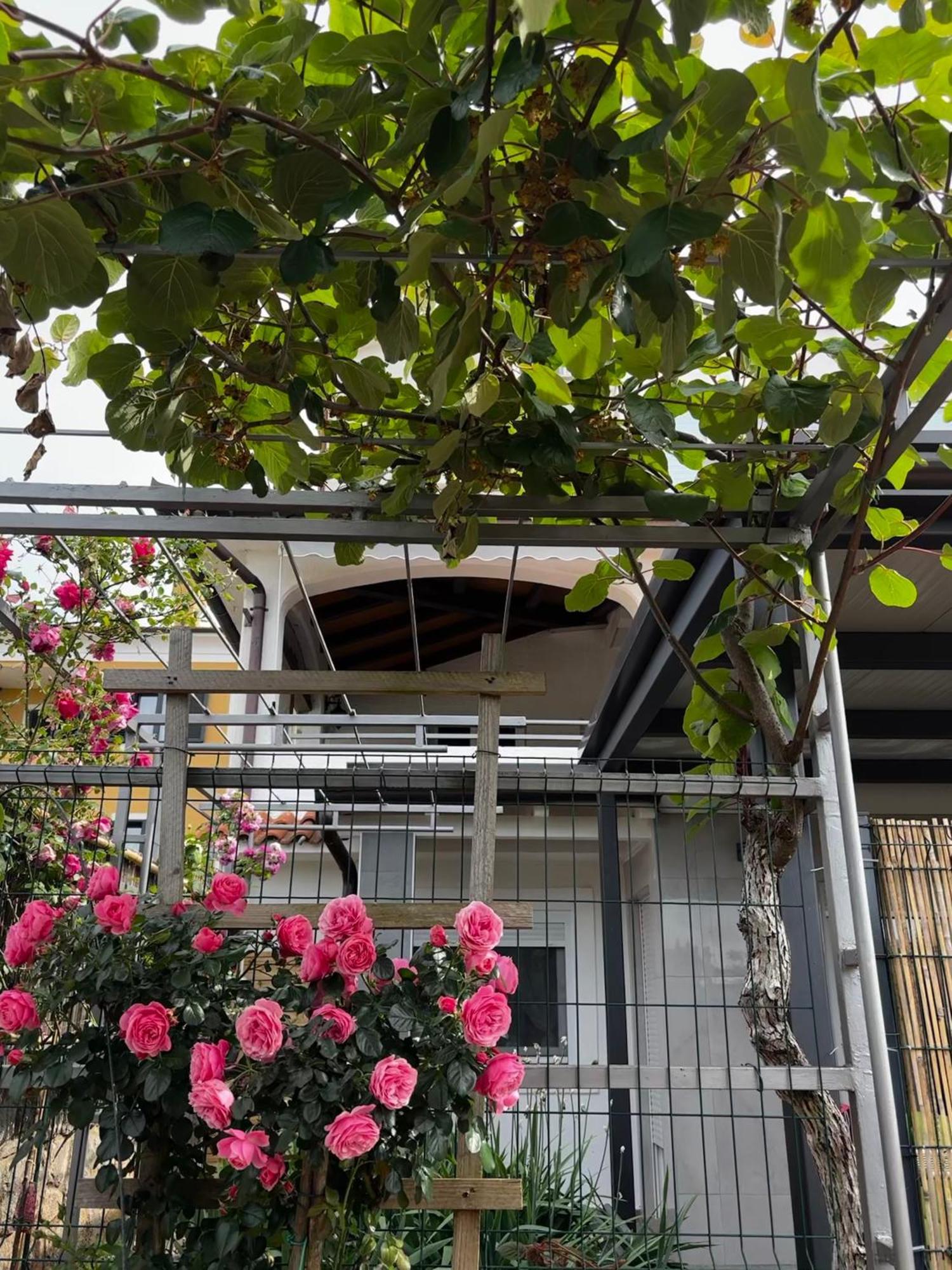 Apartmani Rozi Umag Buitenkant foto